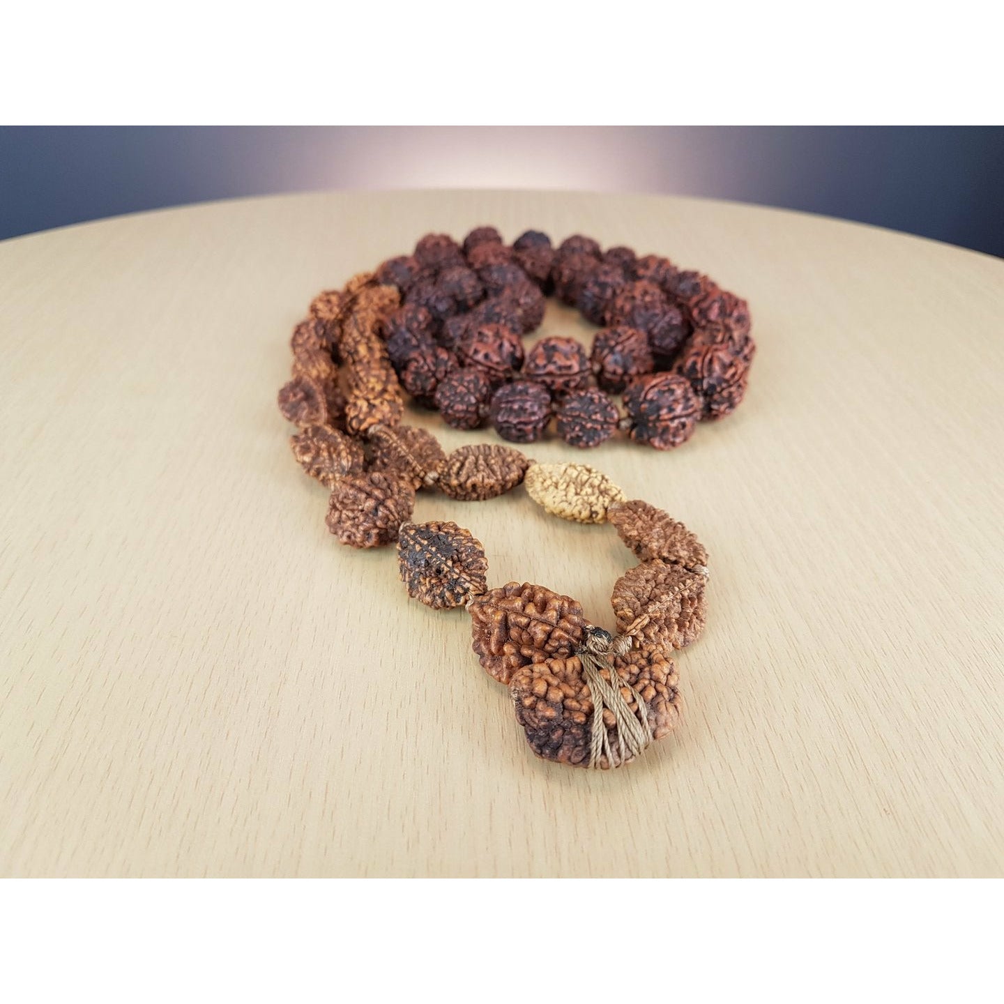 Siddha-Mala 1-6-Eye Rudraksha (Népal)
